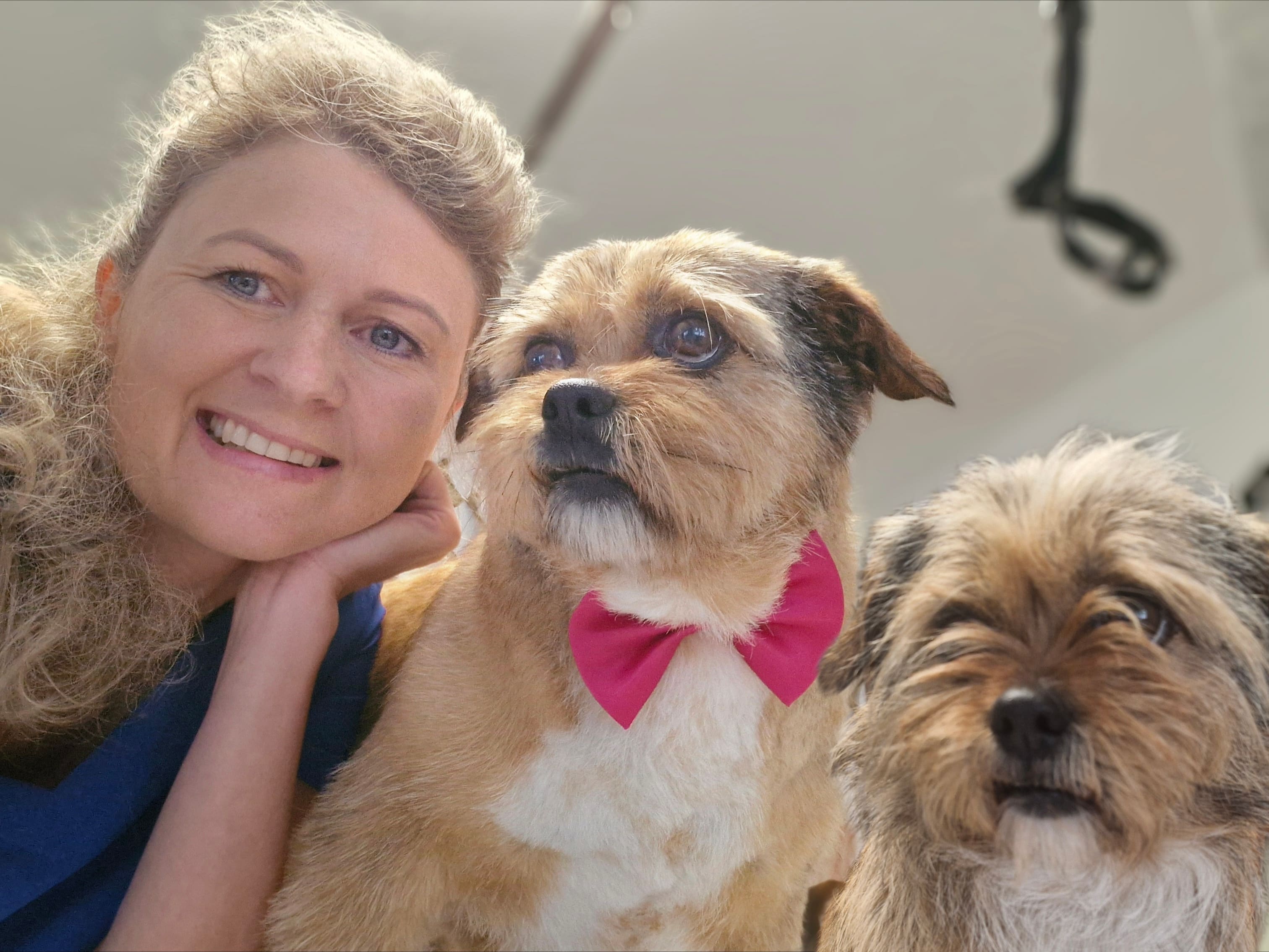 Geschnittener Hund 14