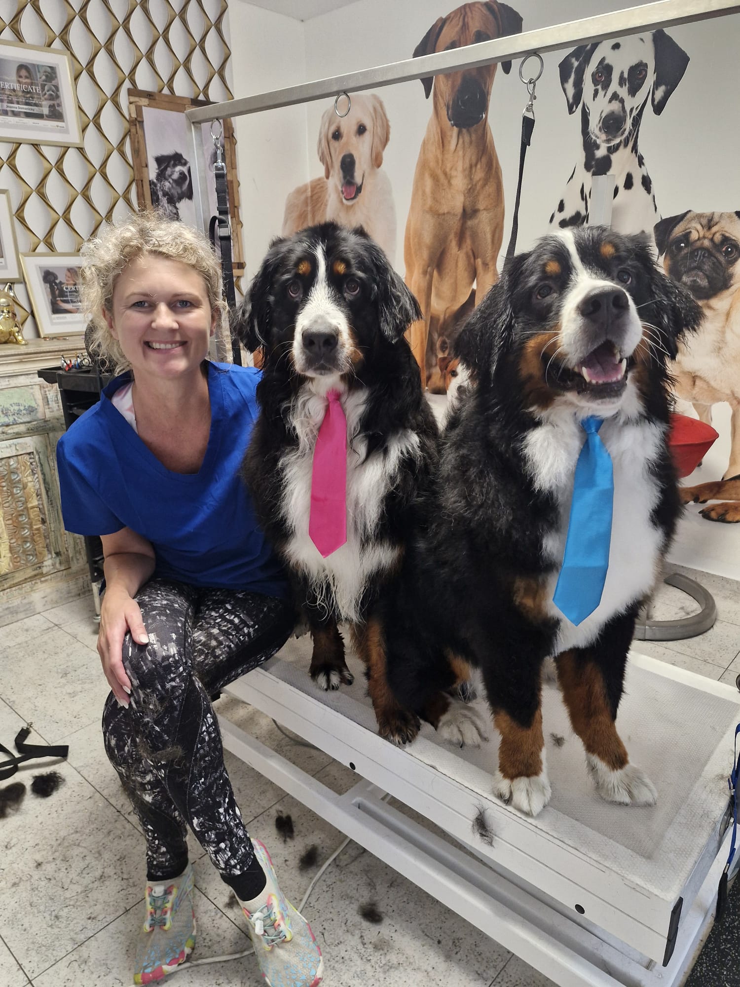 Geschnittener Hund 17