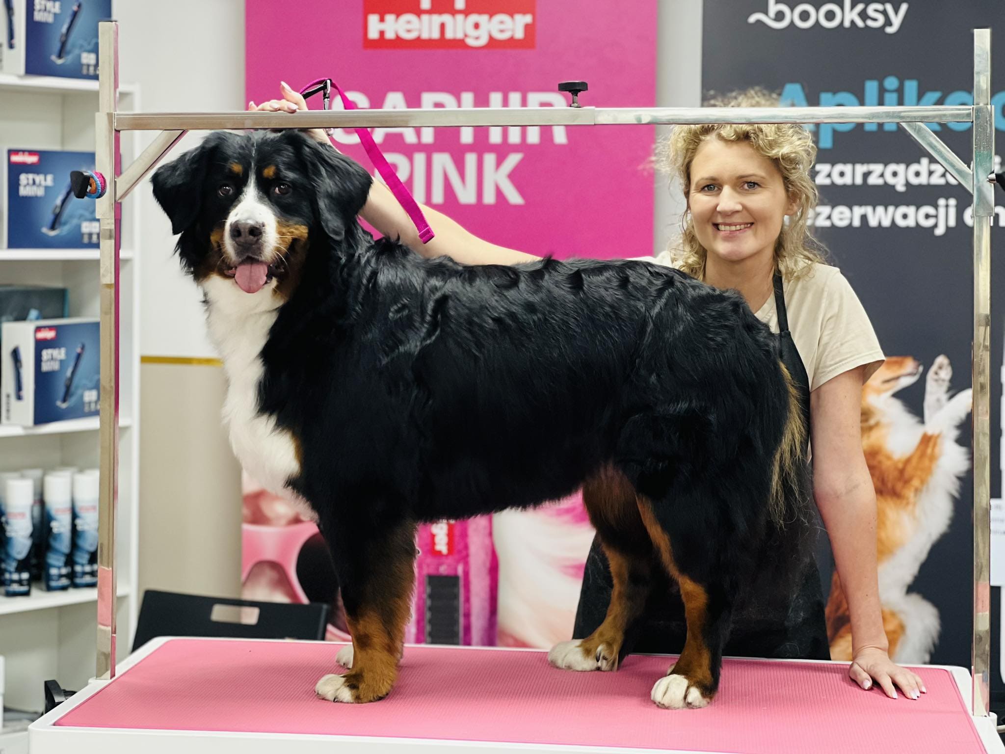 Geschnittener Hund 9