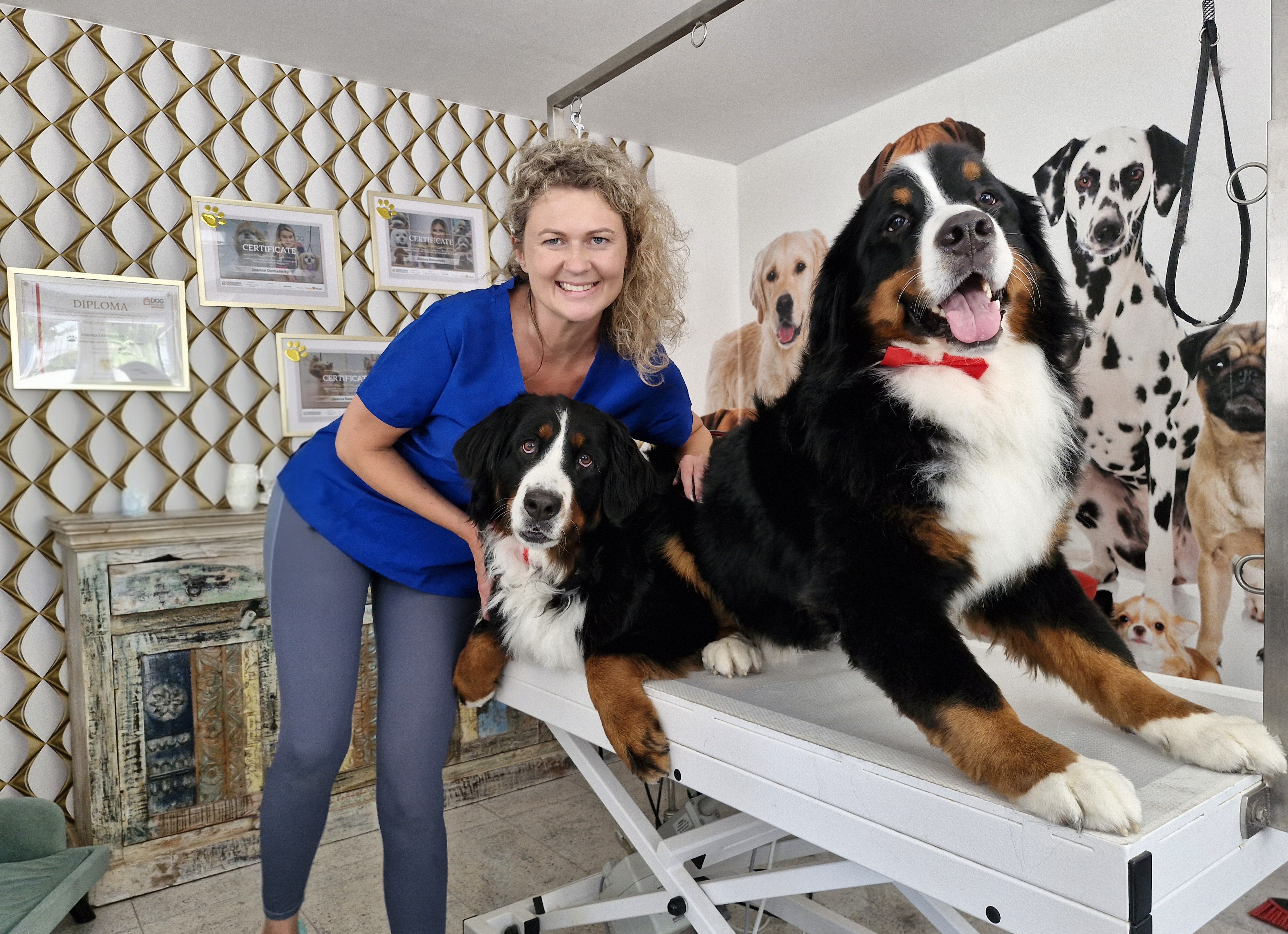 Logo Issy´s goldene Pfote