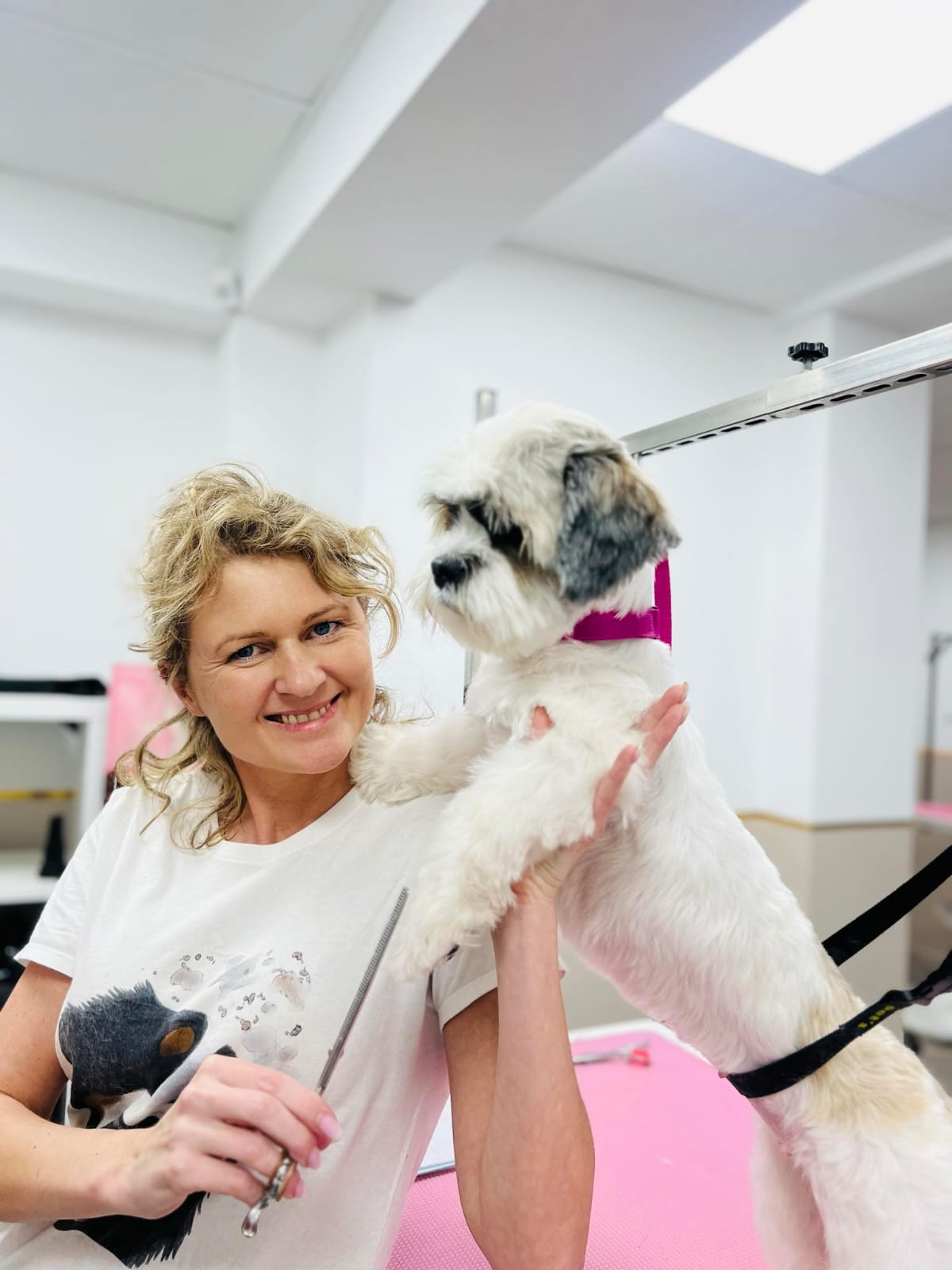 Hundeschnitt Beispiel